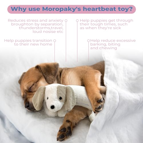 Heartbeat Puppy Toy for Dogs (White)