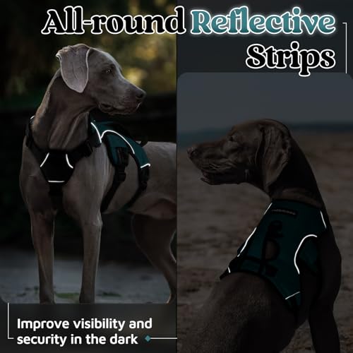 Escape Proof Dog Harness for X (Dark Green / X-Large)