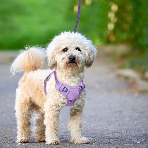 Dog Harness for Small Sized Dog No Pull Dog Vest ID Tag Pocket (Lavender Sky / X-Small)