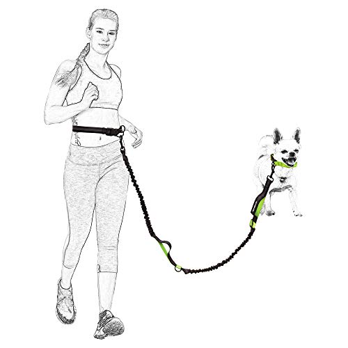 Hands Free Leash (Black Blue / 7FT Hands Free)