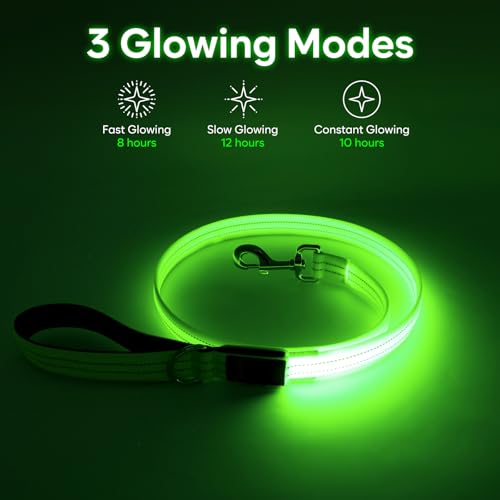 LED Dog Leash (Green)