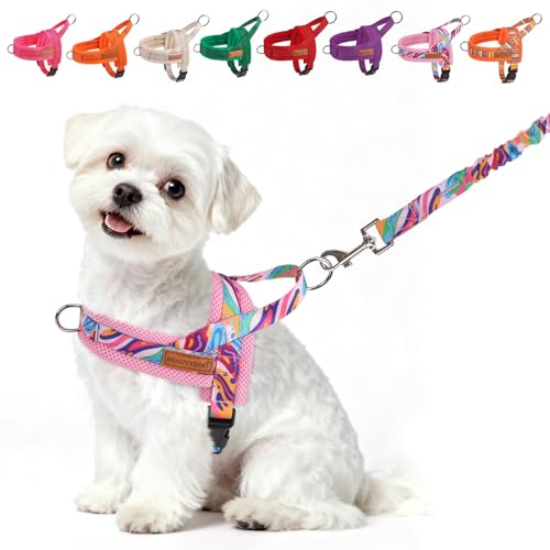Small Dog Harness and Leash Set (Mix Pink / XS: Chest 15"-18")
