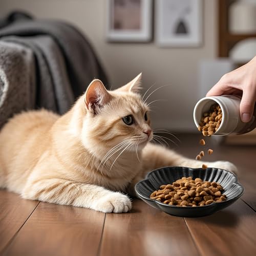 Ceramic Cat Food Bowls (black / 4.72in)