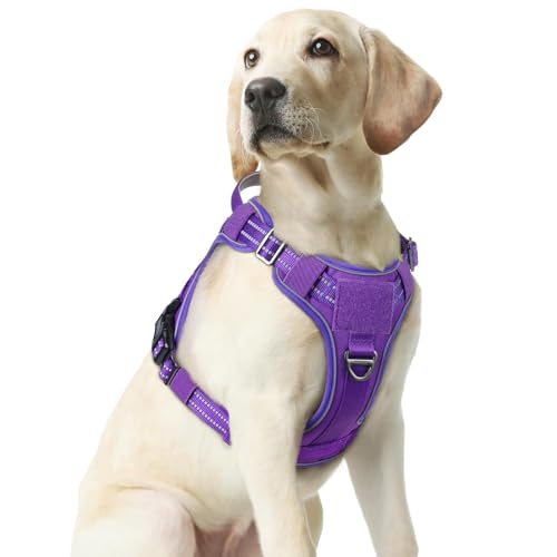 Tactical Dog Harness Medium Sized (M(chest:20.1"-33.9",neck:17.7"-22.3",back:7.5") / Purple)
