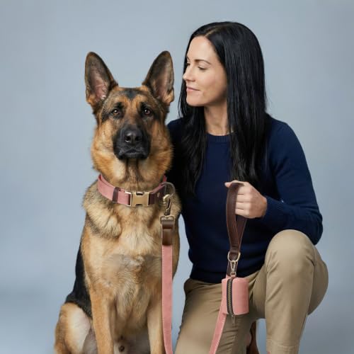 PU Leather Dog Leash for Large Dogs (Pink / 1"x 6FT)