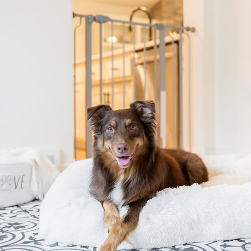 Carlson 36" Extra Tall Walk Through Dog Gate for Doorways & Bottom of Stairs (Platinum / 29.5-36.5" W x 36" H)