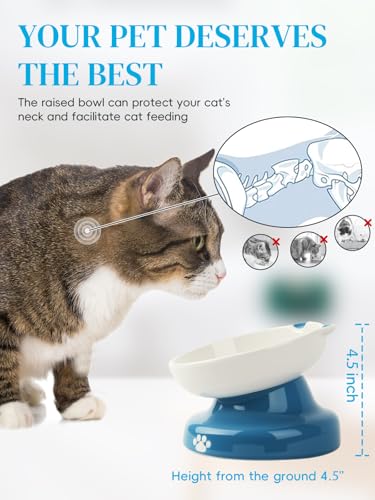 Ceramic Slow Feeder Cat Bowl (Blue)