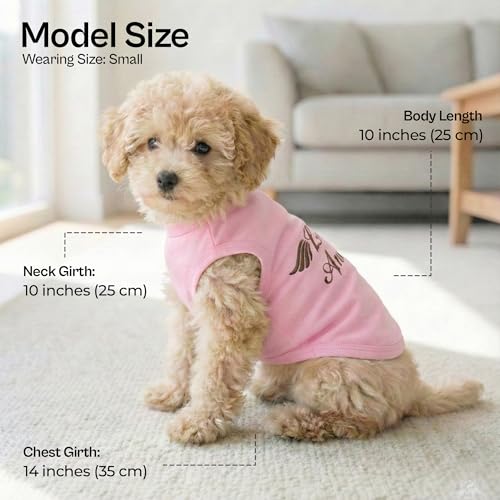 Dog Shirt 100% Cotton Lil Angel Shirts for Small Dogs (XS)