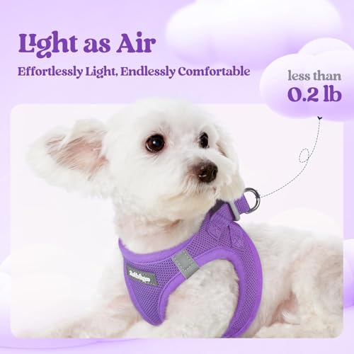 Dog Harness Medium Sized and Leash Set (Purple / Xxl (chest: 21.6 - 23.7"))