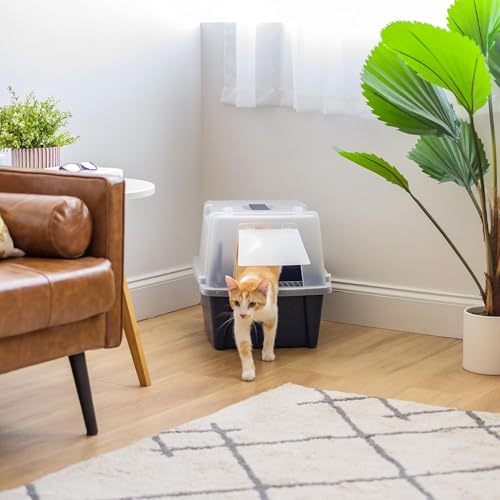 Large Front Door Cat Litter Box (Navy / Split Hooded)