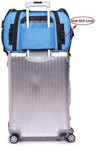 Soft Sided Pet Carrier for Cats & Small Dogs (21.0"L x 12.0"W x 13.0"H / Sapphire Blue)