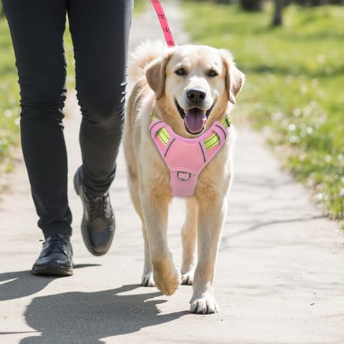 Dog Harness for Large Dogs No Pull Dog Vest ID Tag Pocket (Baby Pink & Sunlight / X-Large)