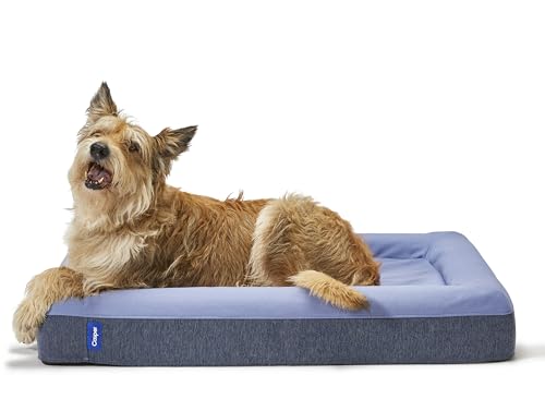 Dog Bed Plush Memory Foam (Blue / Medium)