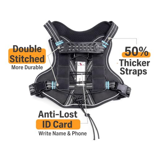 Dog Harness and Leash Set for X (Black / XL)