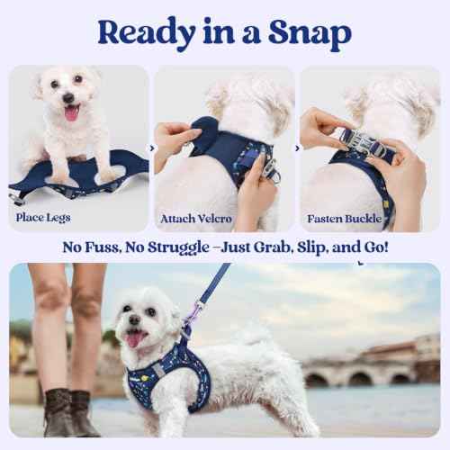 Dog Harness Small Sized and Leash Set (Navy Space Pups / Xs (chest: 13.3 - 15.5"))