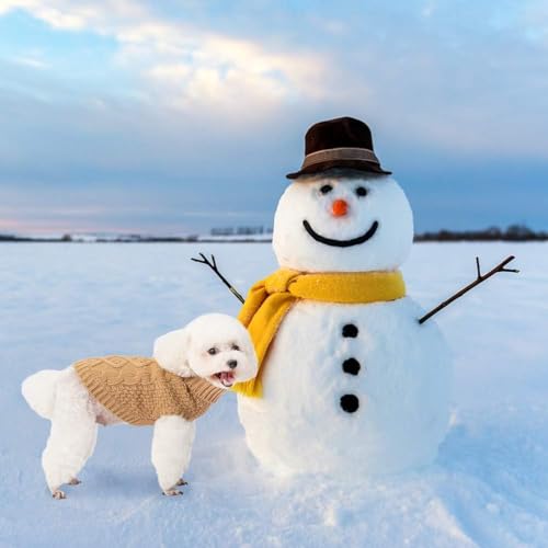 Turtleneck Dog Sweater (X-Small / Khaki)