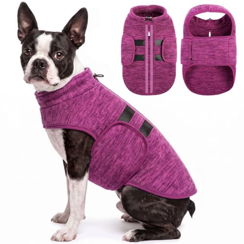 Large Dog Sweater (Cationic Berry / Large)