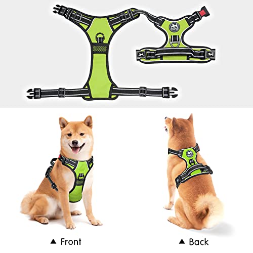 No Pull Dog Harness Large with Front Clip & Neck Release Buckle (XL / Green)