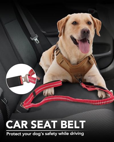 Tactical Bungee Dog Leash (Red)