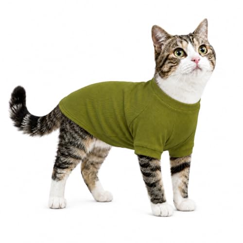 Ribbed Dog T Shirt Cotton Knitted Dog Sweaters for All Season Pet T (XS (for Mini Dog) / Olive green)