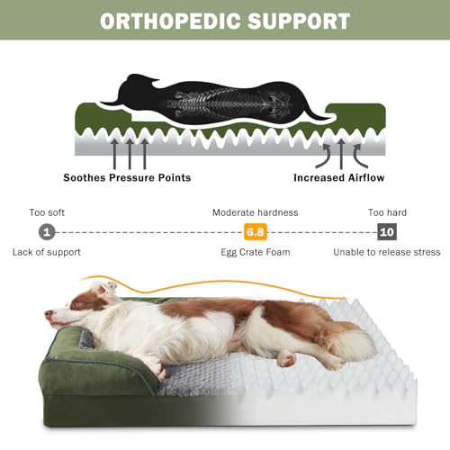 Orthopedic Dog Bed for Extra Large Dogs (XXL (48"x 35"x 8") / Green)