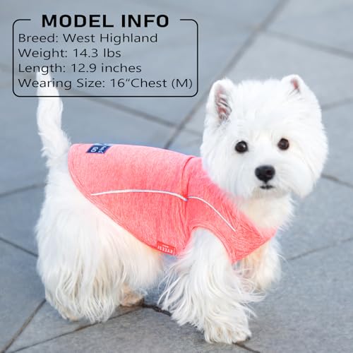 Reflective Dog Shirt (Small (4-7lbs) / 2#Grey)