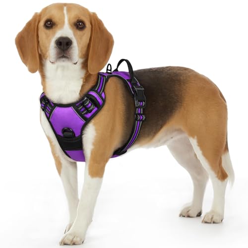 Dog Harness for Small Dogs (Small / Purple)