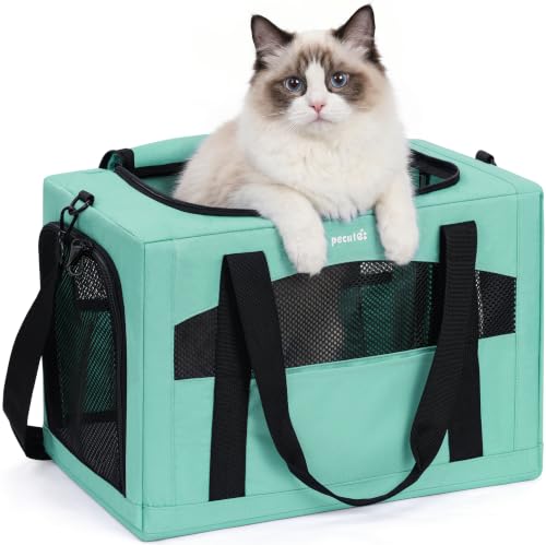 Cat Carrier Stable (Light Green / 18.5"L x 12.9"W x 11.8"H)