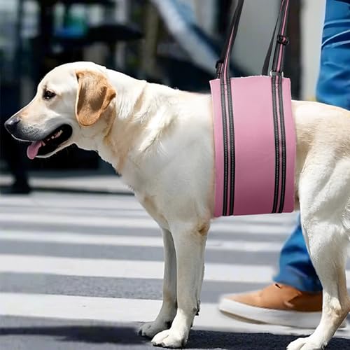 Adjustable Dog Sling Dog Lift Harness Hind Leg Support (Pink / L)