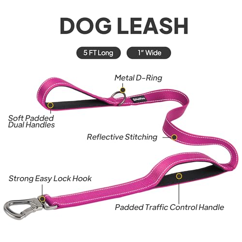 5FT Heavy Duty Dog Leash with Soft Padded Double Handle (5 FT x 1 in Wide / Rose)