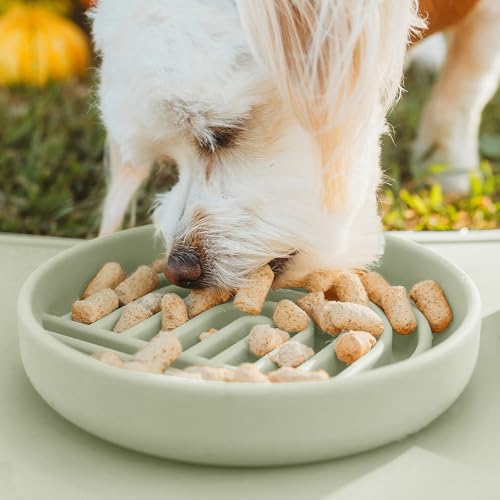 Slow Feeder Dog Bowl (Sage - Rainbow Design / Small (6” Across x 1.25” Tall))