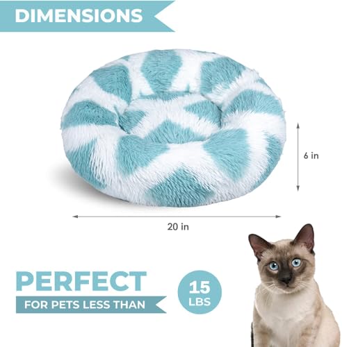 Cat Beds for Indoor Cats & Small Dog (Teal-White / 20.00" x 20.00" x 6.00")