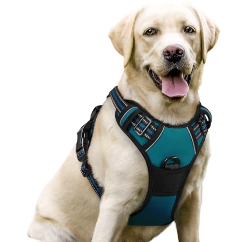 Dog Harness No Pull for Large Dogs with 2 Leash Clips (Large / Blue Coral)