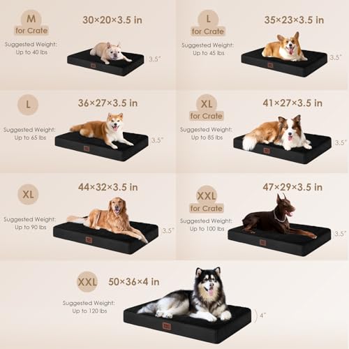 Orthopedic Dog Bed Large with Removable Washable Cover (44*32*3.5 inches / Black)