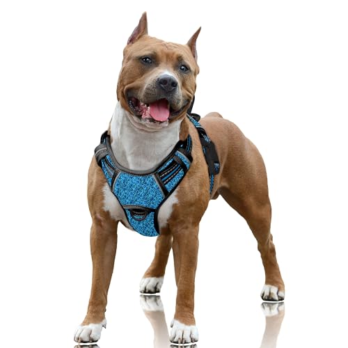 No Pull Dog Harness Large Reflective Dog Harness with Front Clip and Easy Control Handle for Walking Training Running with ID tag Pocket (Blue/Black / Large)