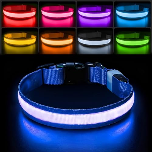 Light up Dog Collar (Blue / L(19 inch-23.6 inch))