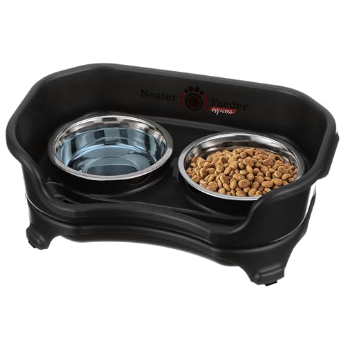 Express Mess Proof Cat Bowls Elevated (Cat w/ Standard Bowls / Midnight Black)