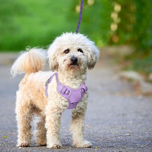 Dog Harness for Small Sized Dog No Pull Dog Vest ID Tag Pocket (Violet Purple / X-Small)