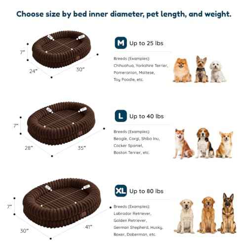 Orthopedic Dog Bed (Chocolate Brown / M(30*24*7))