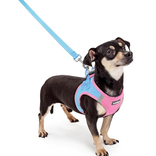 Dog Harness Small Sized and Leash Set (Blue & Light Pink / Xxxs (chest: 10.8 - 11.8"))