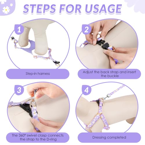 No Pull Dog Harness with Leash for Small Medium Dogs (X-Small(6-11lb) / Purple Daisy)