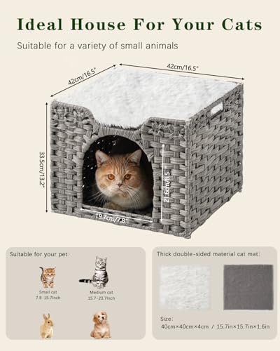 Cat Beds Indoor Kitten House (Gray / Rectangle-M)
