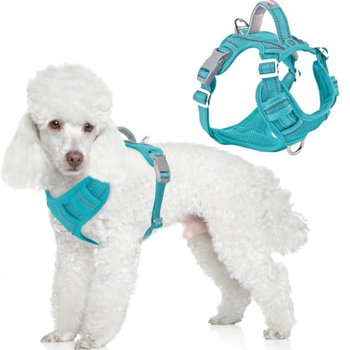 No Pull Dog Harness for Small Sized Dogs (Small(Chest:19.5-26”) / Ocean Blue)