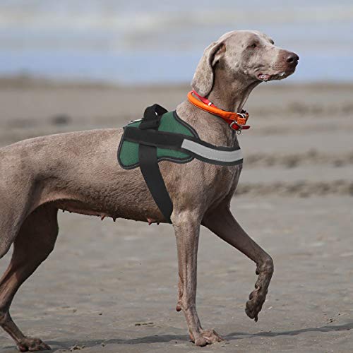 Dog Harness No (Small (Pack of 1) / Dark green)