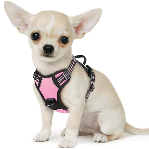 Dog Harness for Small Dogs (X-Small / Pink)