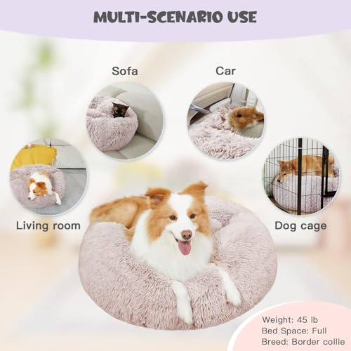 35in Covered Large Dog Bed with Blanket Attached Calming Burrow Beige (35.0"L x 35.0"W x 10.0"Th / Beige)