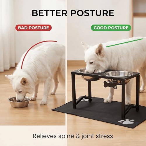 Elevated Dog Bowls (Black-85oz x 2 / Height: 13")