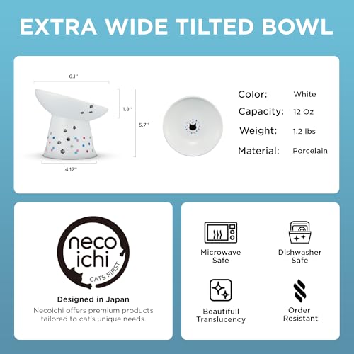 Necoichi Ceramic Elevated Food Bowl (Colorful Dots / Large Extra Wide Tilted)