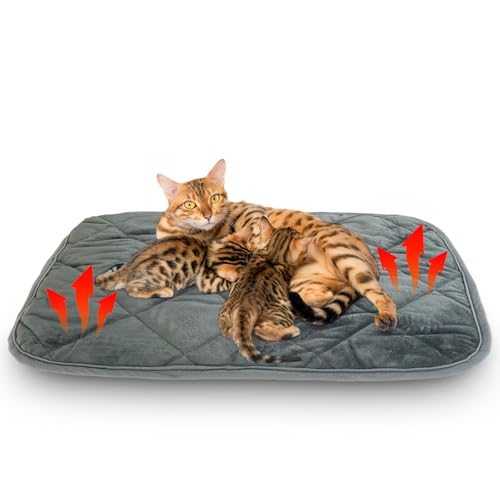 Self Warming Cat Bed Indoor (Large 35 x 23 inch / Gray)