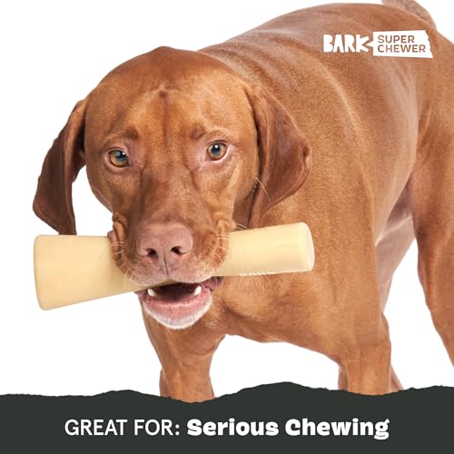 Mighty Bone Bacon Super Chewer (Small / Mighty Bone Bacon)